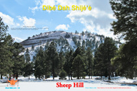 Sheep Hill Poster Preview